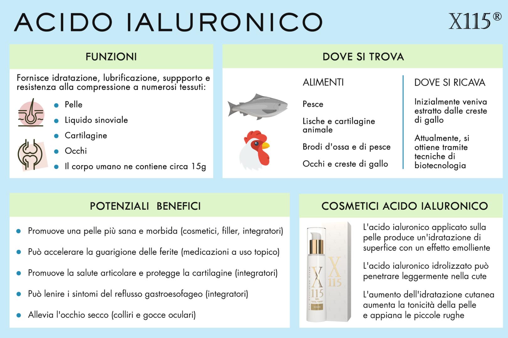 Acido Ialuronico Cosmetici Infografica