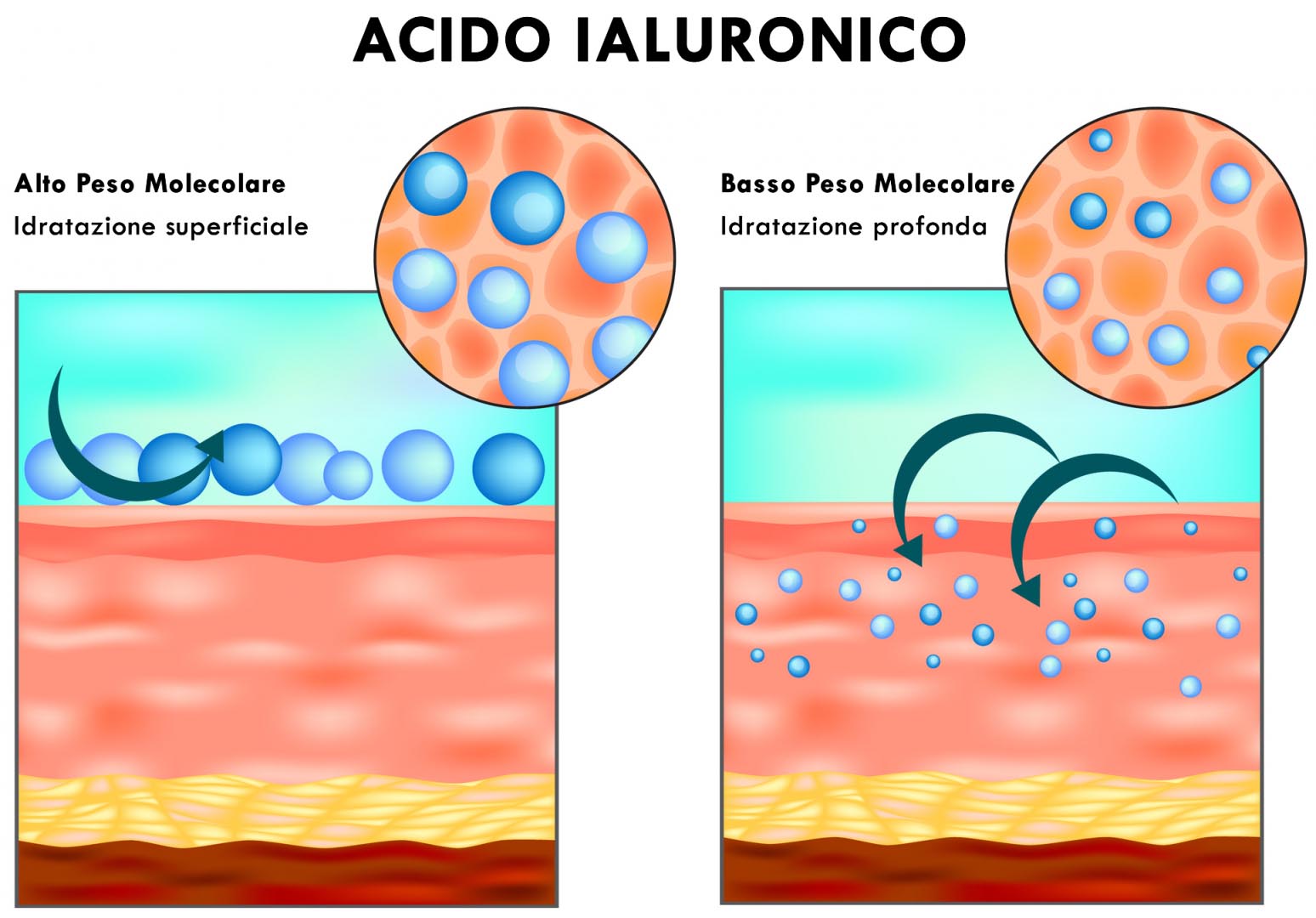 acido ialuronico peso molecolare