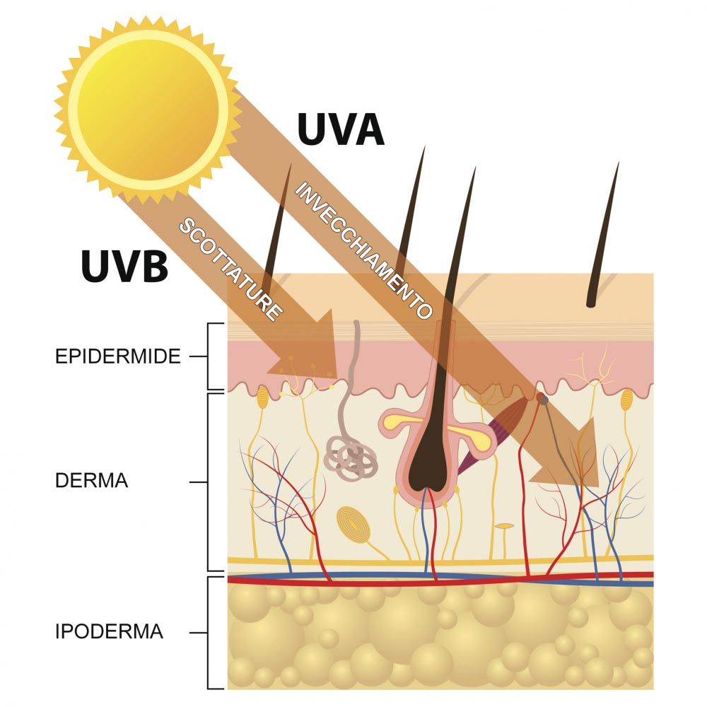 Raggi UVA e UVB