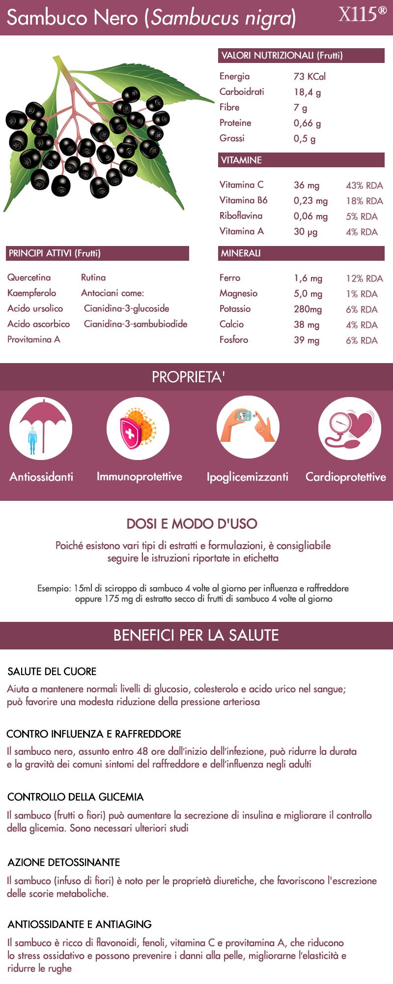 Sambuco infografica