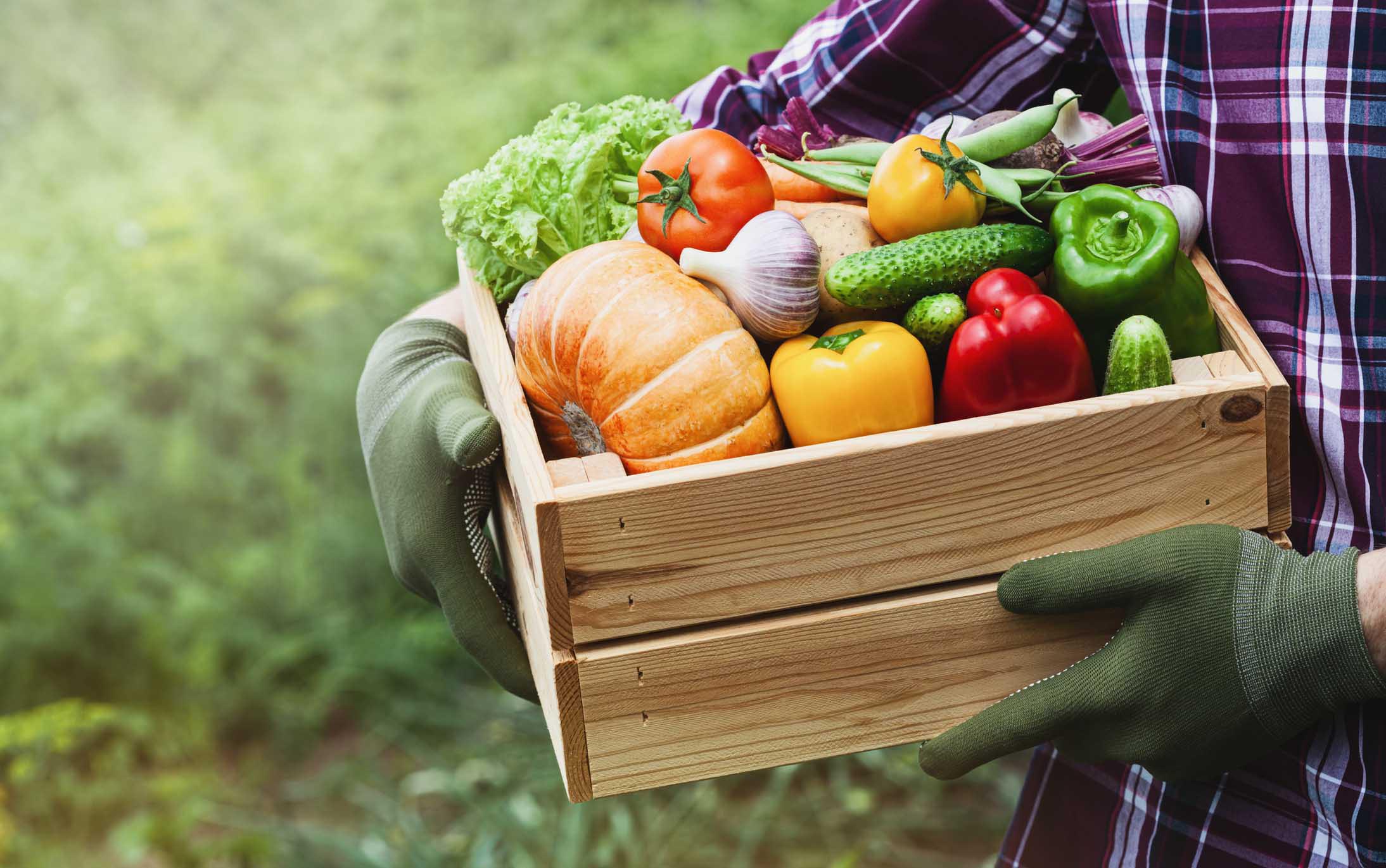 Verdura Ricca di Vitamina C