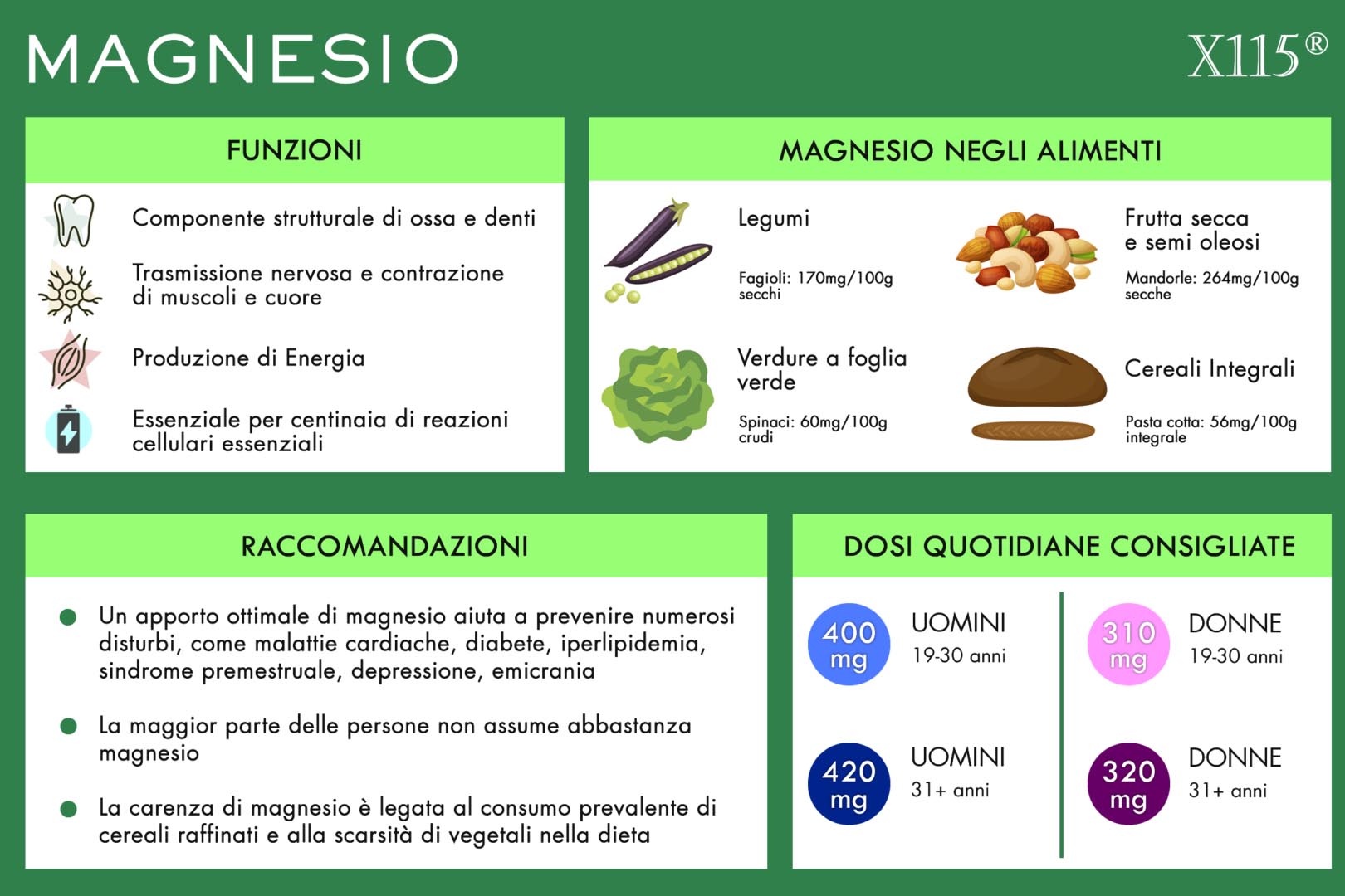 Magnesio Infografica