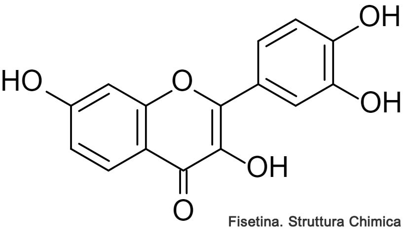 fisetina struttura chimica