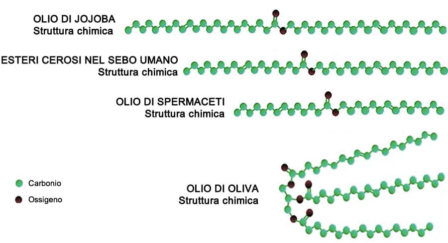 Cera Liquida Jojoba Struttura Chimica