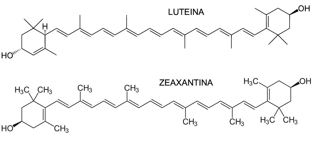 Luteina Zeaxantina Struttura Chimica