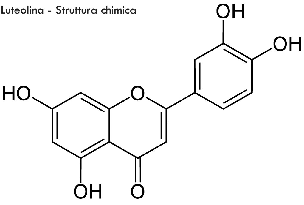 Luteolina - Struttura Chimica