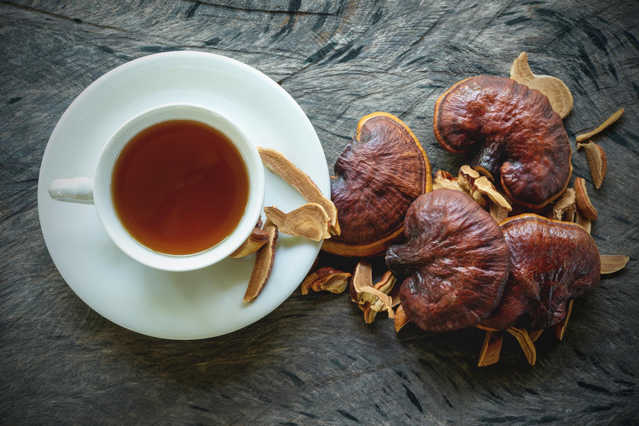 ganoderma