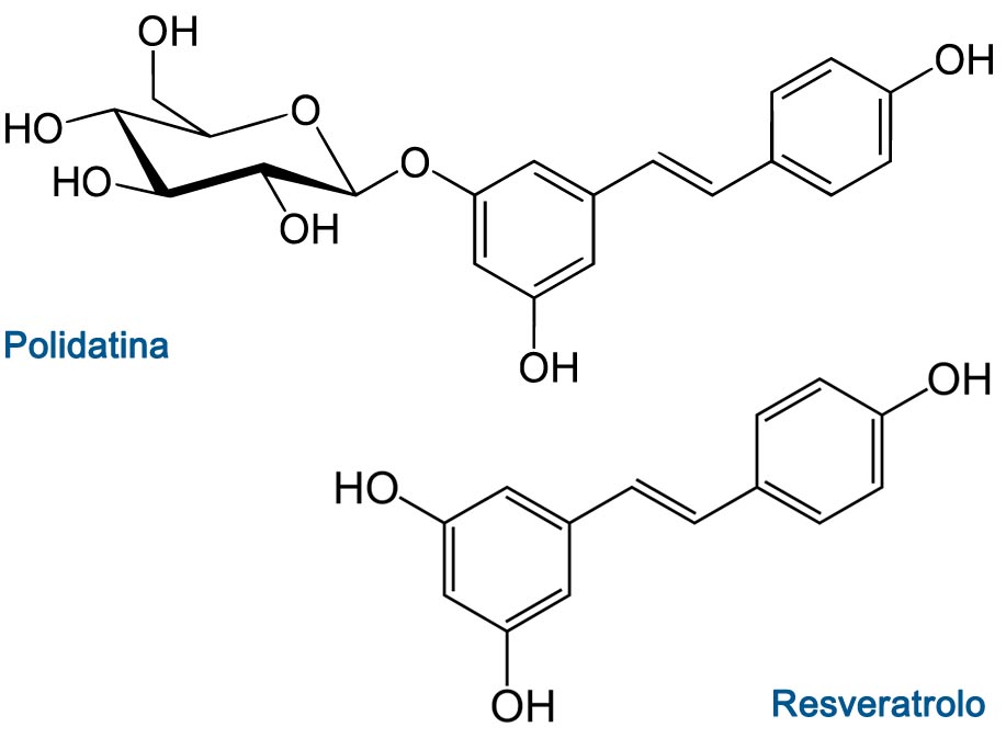 Polidatina e Resveratrolo