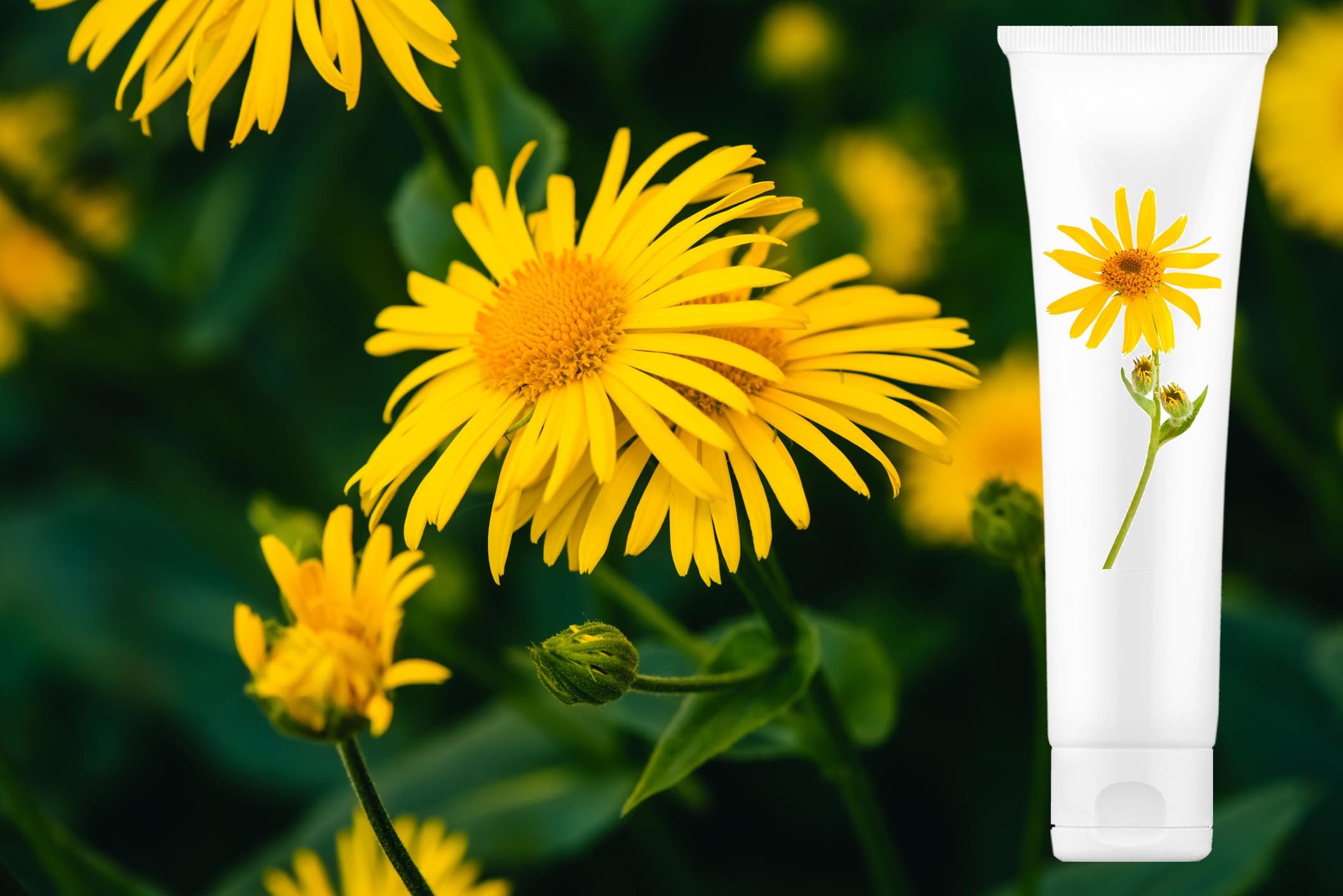 Crema Arnica Montana