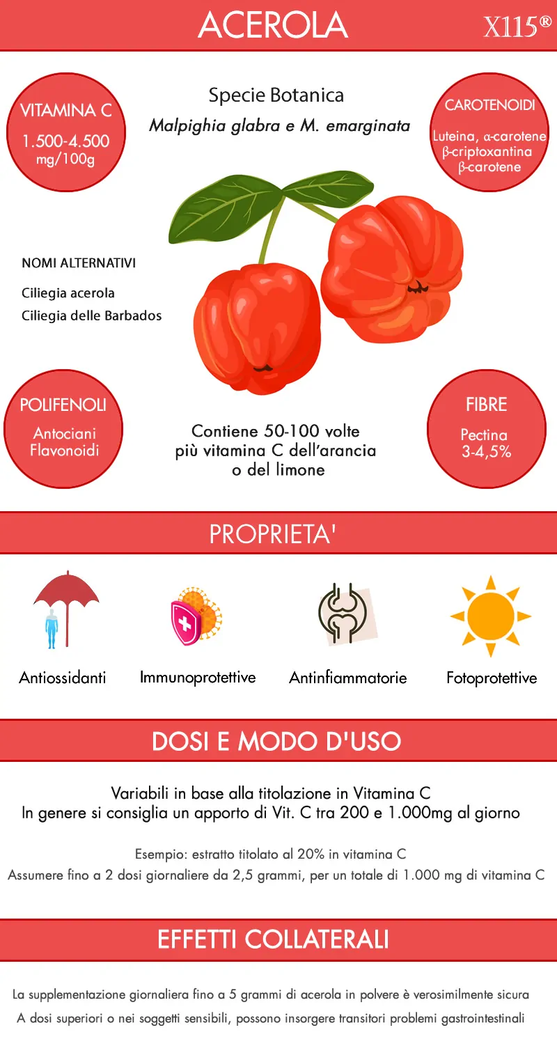 Acerola Infografica