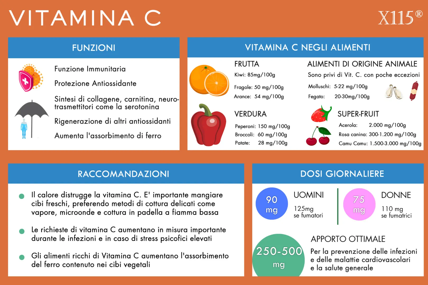 Vitamina C Infografica