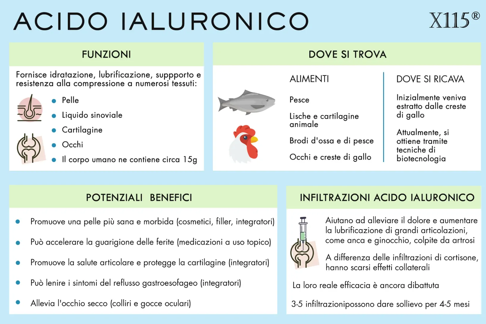 acido ialuronico infiltrazioni infografica