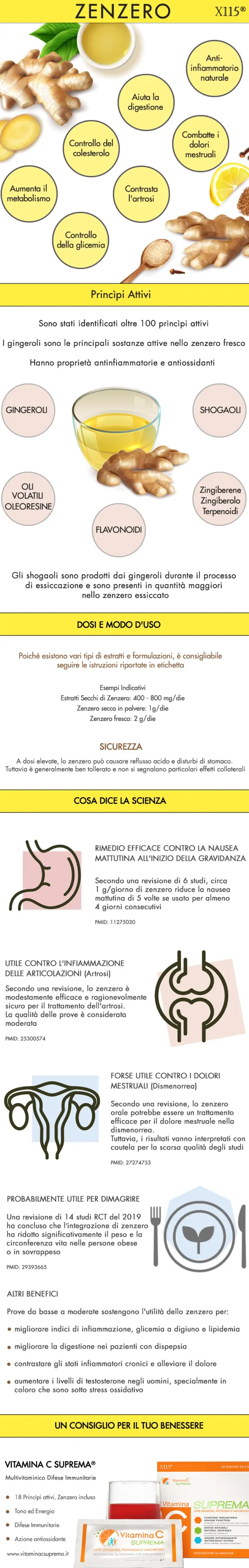 Zenzero Infografica