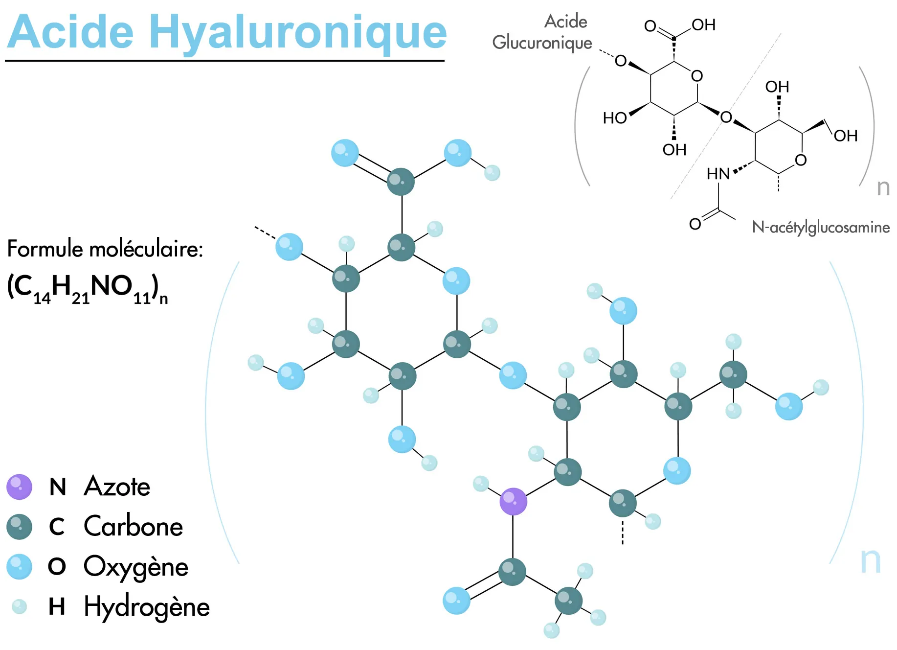 Acide Hyaluronique