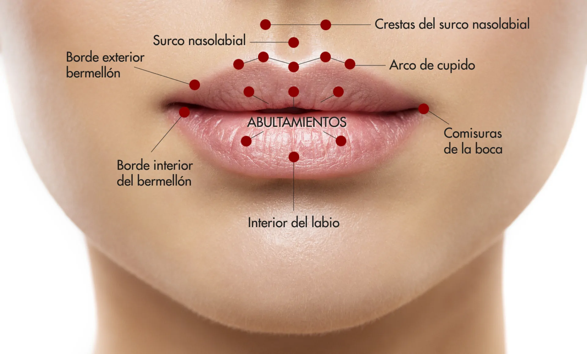 labio