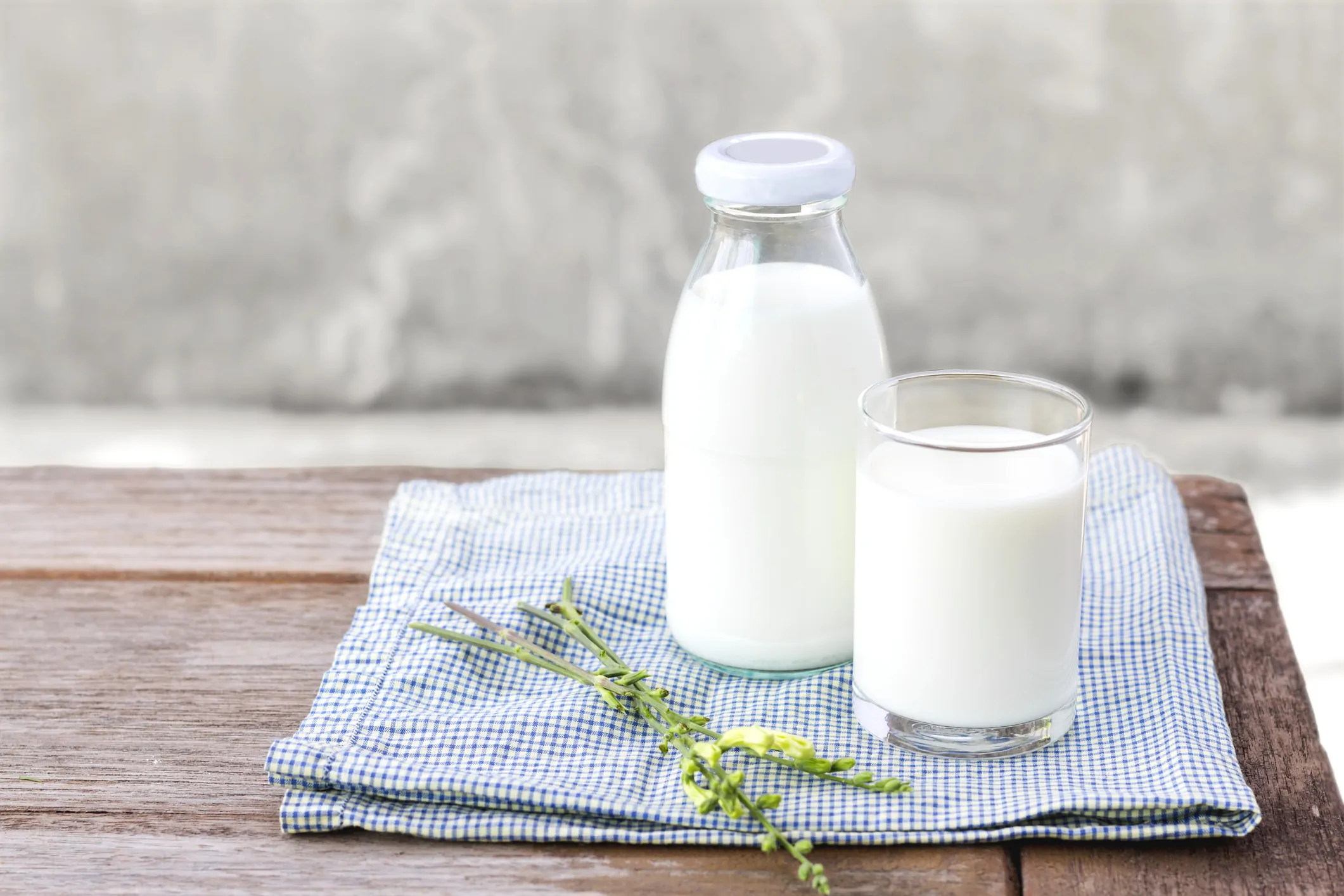 Alimenti Ricchi di Lattoferrina