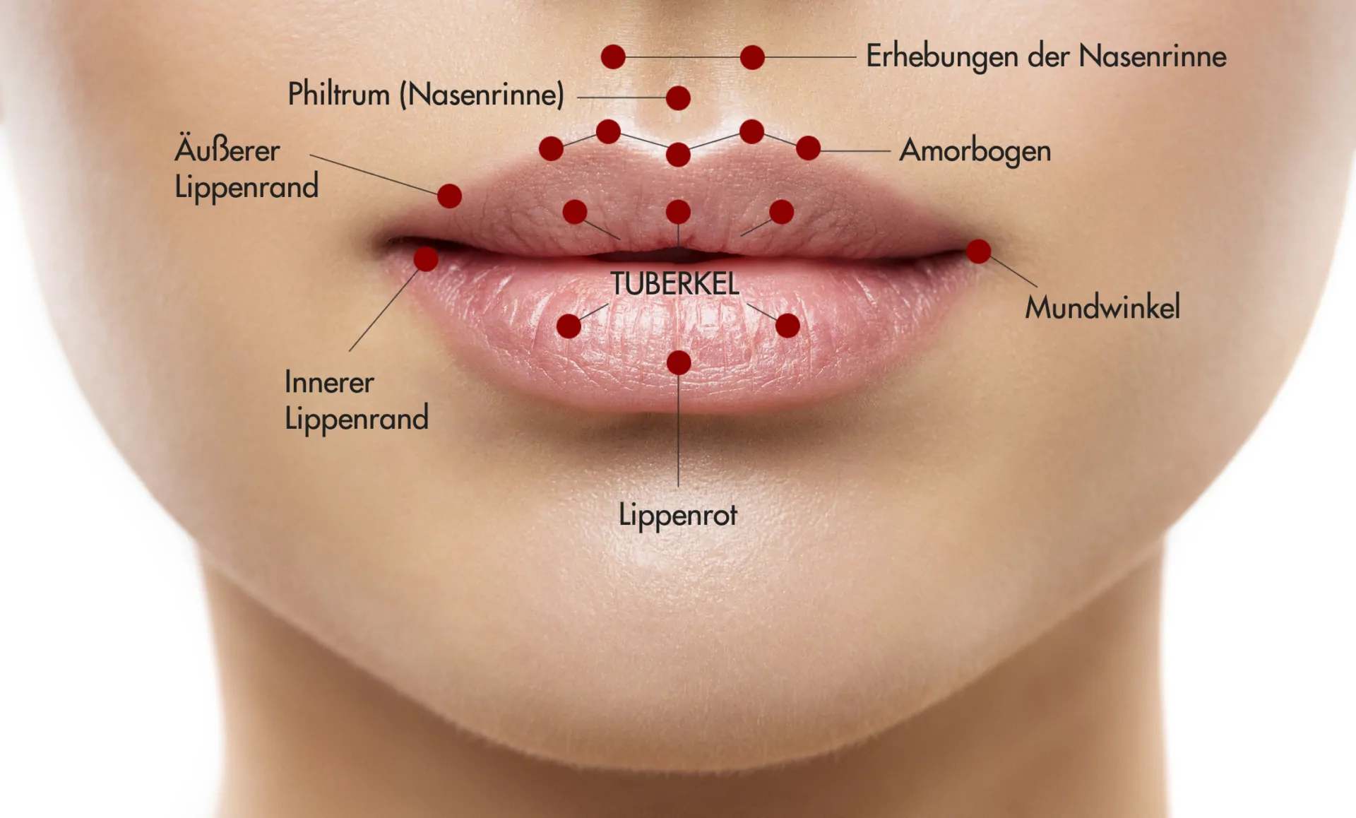 lippen