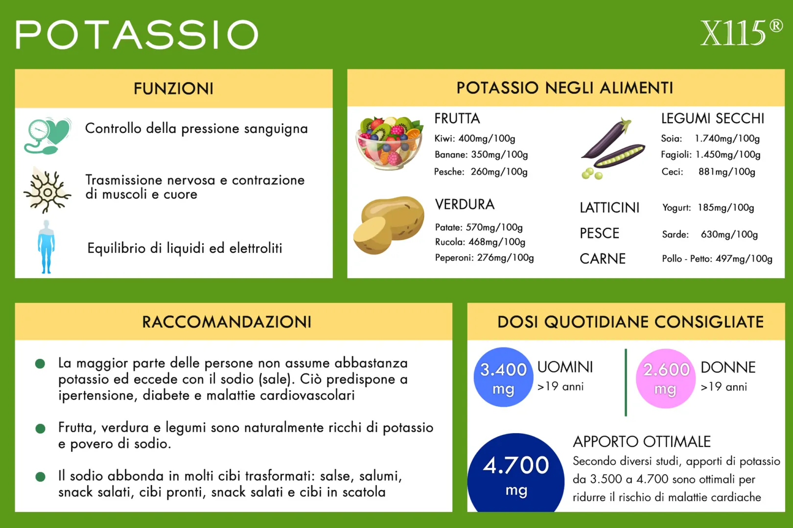 Potassio Infografica