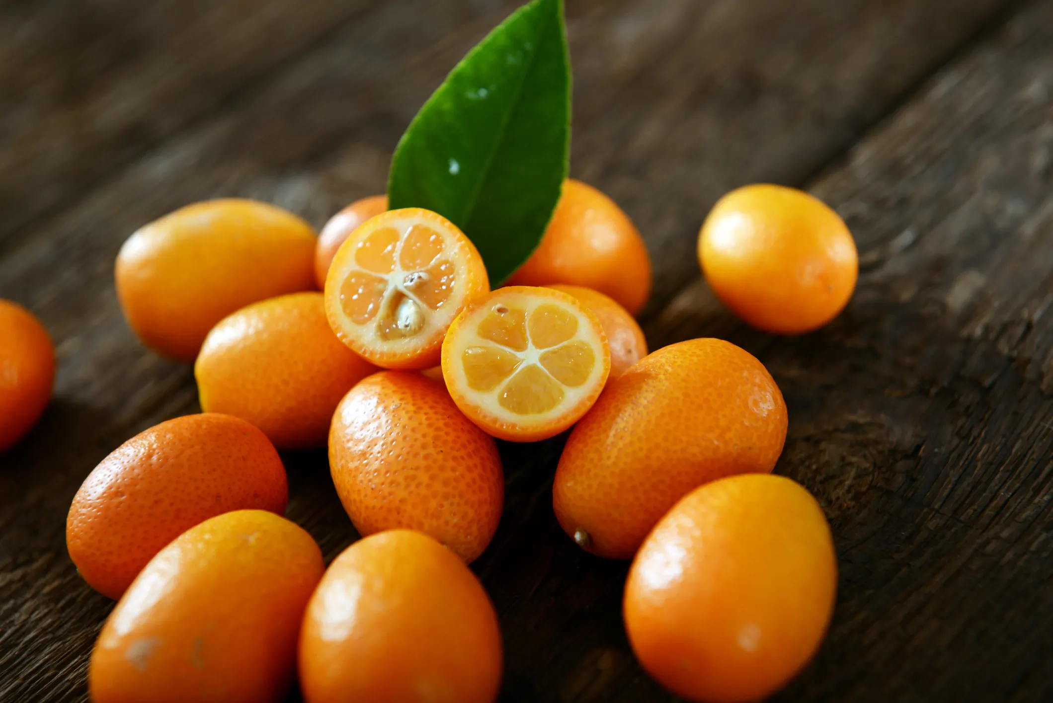 Kumquat