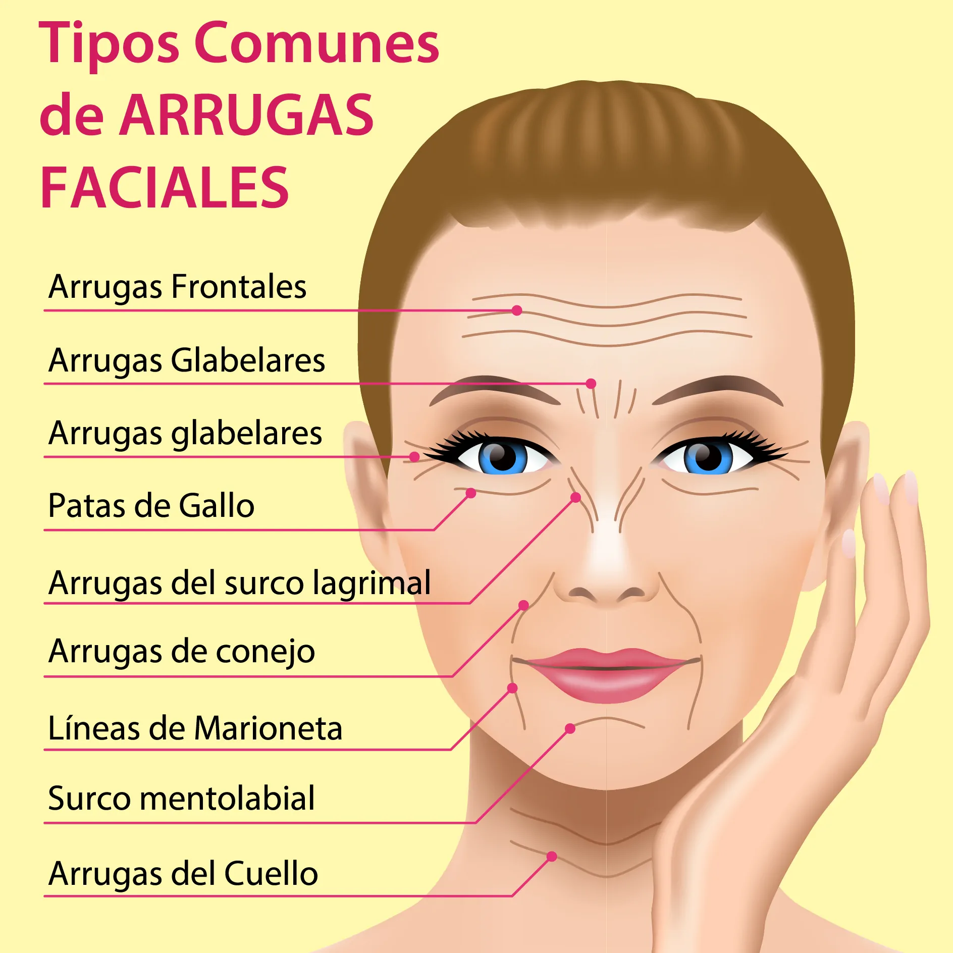 Tipo de arrugas faciales