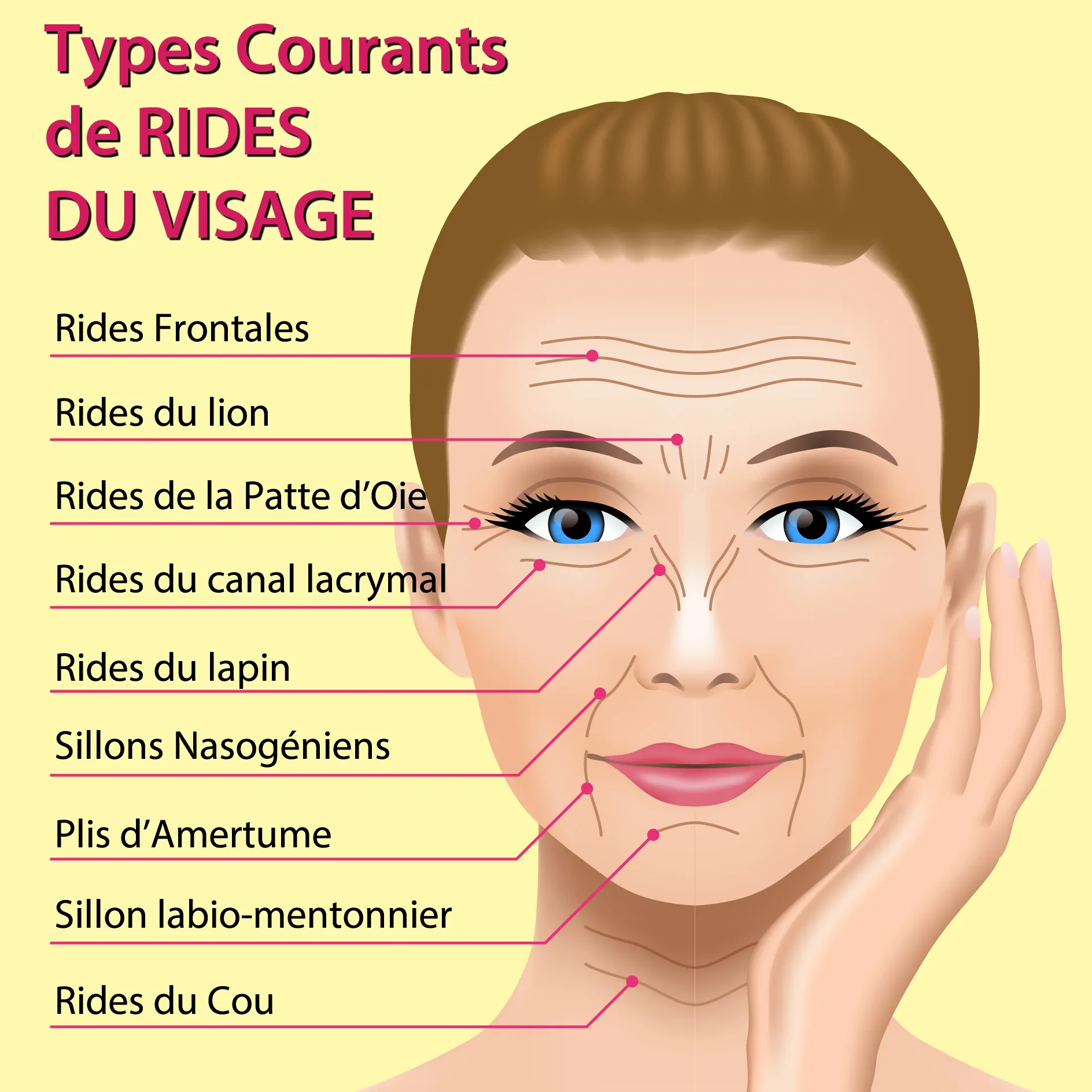 Type de rides du visage