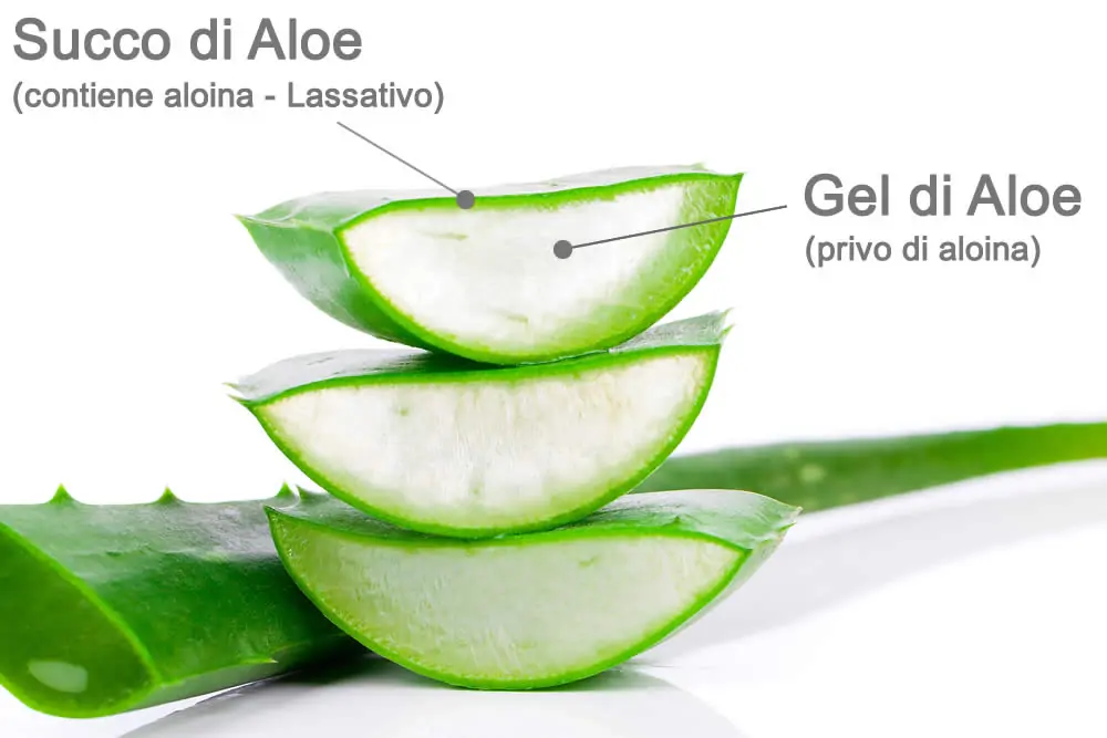 Aloe Vera Gel Succo Differenze