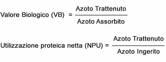 Calcolo valore biologico proteine