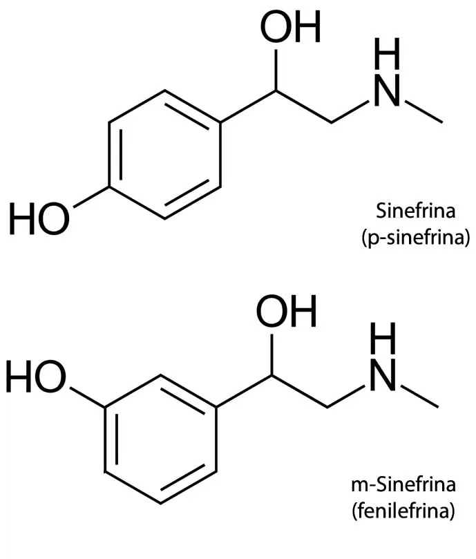 p-sinefrina-m-sinefrina